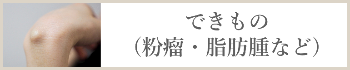 できもの(粉瘤・脂肪腫など)
