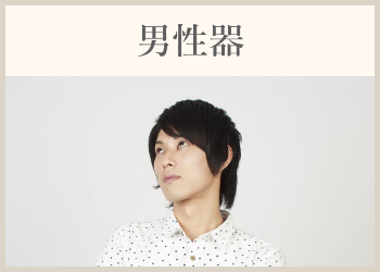 男性器