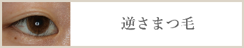 逆さまつ毛