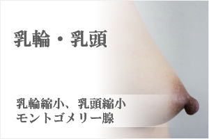乳輪・乳頭
