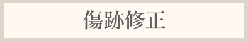 傷跡修正料金