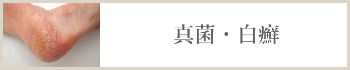 真菌・白癬