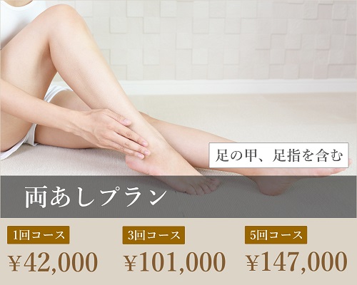 両あしプラン