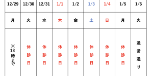 年明けは1月6日から診療しています。
